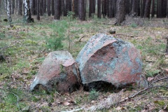 Kieselwitz Teufelsstein