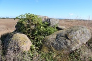 Click for full size image of Schwaneberg Dolmen (PID:113879) Schwaneberg Dolmen