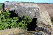 Click for full size image of Schwaneberg Dolmen (PID:113880) Schwaneberg Dolmen