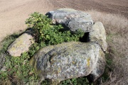 Click for full size image of Schwaneberg Dolmen (PID:113881) Schwaneberg Dolmen