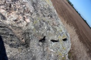 Click for full size image of Schwaneberg Dolmen (PID:113882) Schwaneberg Dolmen