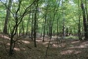 Click for full size image of Huegelgraeberfeld Schweinert (PID:114598) Huegelgraeberfeld Schweinert