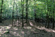 Click for full size image of Huegelgraeberfeld Schweinert (PID:114600) Huegelgraeberfeld Schweinert