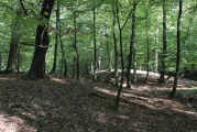 Click for full size image of Huegelgraeberfeld Schweinert (PID:114602) Huegelgraeberfeld Schweinert