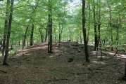 Click for full size image of Huegelgraeberfeld Schweinert (PID:114604) Huegelgraeberfeld Schweinert
