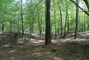 Click for full size image of Huegelgraeberfeld Schweinert (PID:114605) Huegelgraeberfeld Schweinert