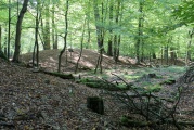 Click for full size image of Huegelgraeberfeld Schweinert (PID:114607) Huegelgraeberfeld Schweinert