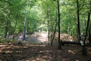 Click for full size image of Huegelgraeberfeld Schweinert (PID:114615) Huegelgraeberfeld Schweinert