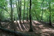 Click for full size image of Huegelgraeberfeld Schweinert (PID:114616) Huegelgraeberfeld Schweinert
