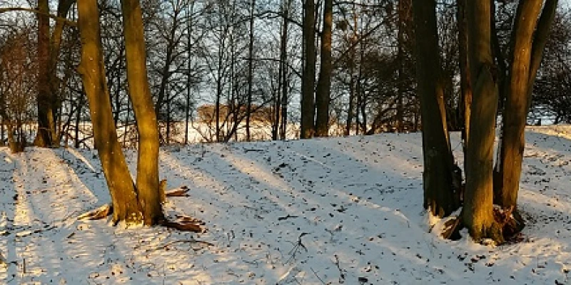 Burgwall Schönfeld Uckermark
