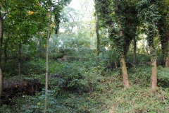 Gross Fredenwalde Wallberg 