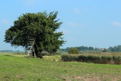 Pilatsch Slawenburg