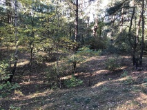 Scheers Berg