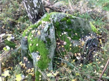 Wartin Hünenbett