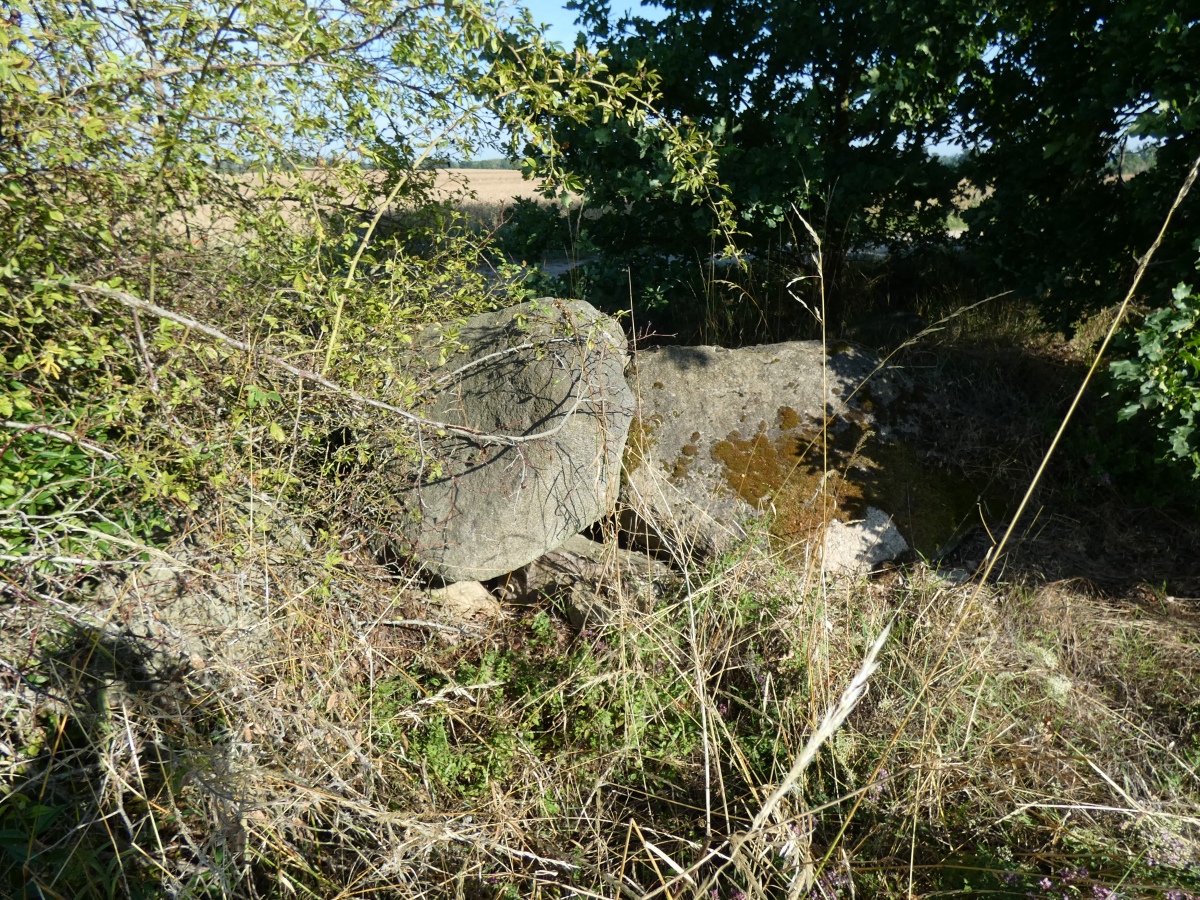 Koppelberg Dolmen