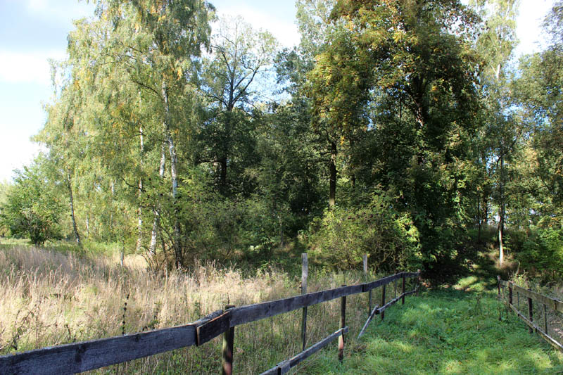 Click for the gallery page to add comments and vote (PID:114214) Wollschow Ringwall