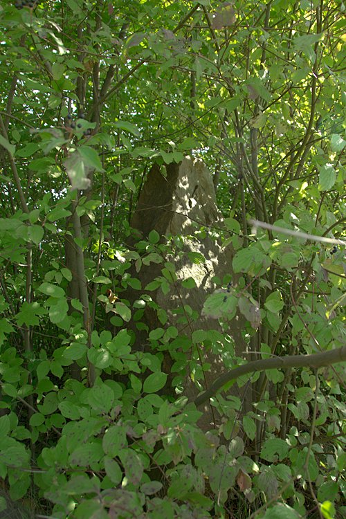 Click for the gallery page to add comments and vote (PID:81879) Butzbach Menhir