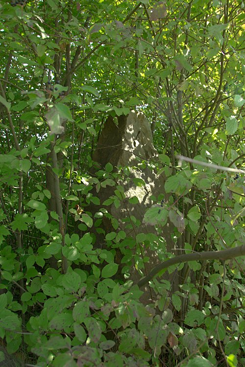 Butzbach Menhir