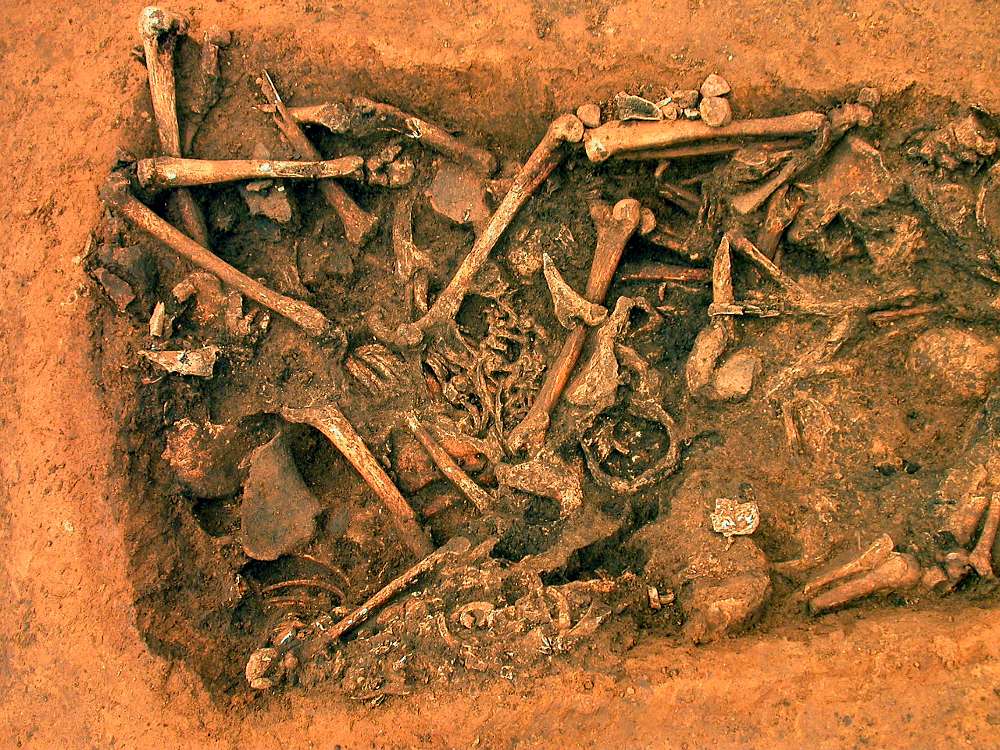 The Neolithic settlement in Schöneck-Kilianstädten (Hesse/Germany) came into the focus of international attention when a mass grave of the Linear Pottery culture (LBK) was discovered.
The picture shows a part of the excavation site.
© D. Groneborn, Römisches Germanisches Zentralmuseum.
Picture taken from the press release:
archaeologie-online.de:  Forschungen zum Massengrab in der steinzei