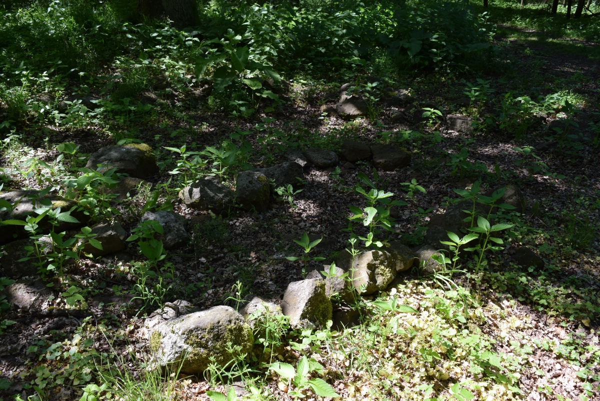 Click for full size image of Vorderwald Muschenheim (PID:227728) Vorderwald Muschenheim