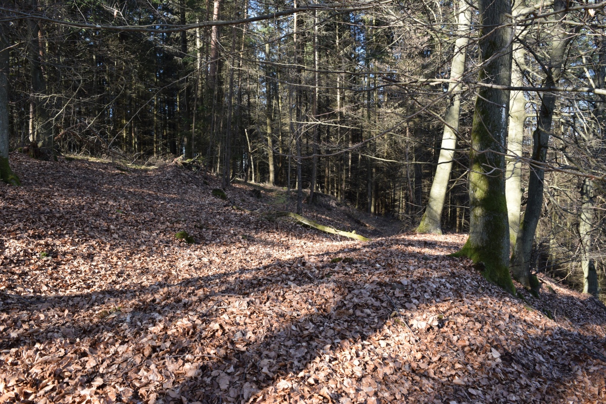 Lützelburg