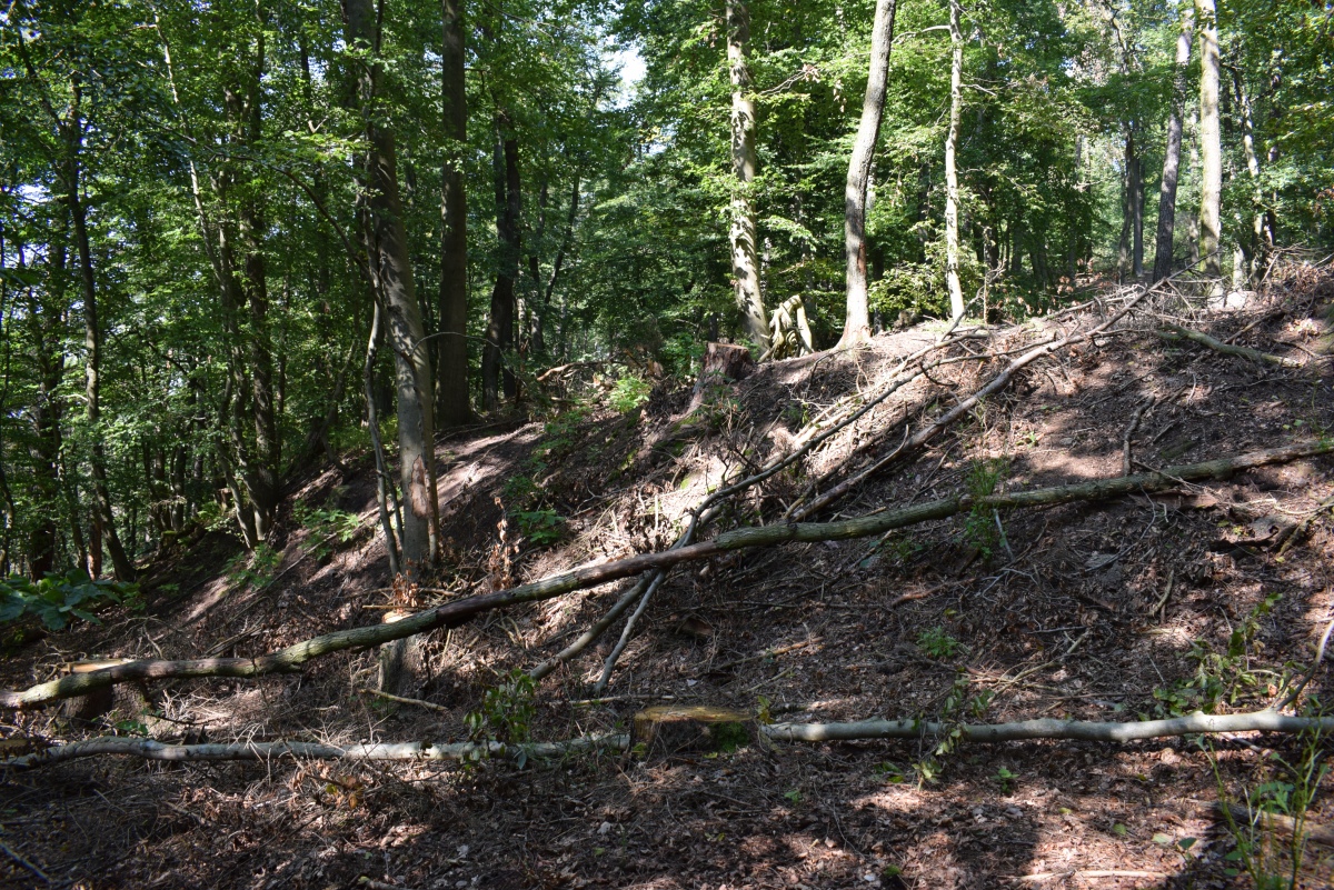 Ringwall Altenburg Römersberg