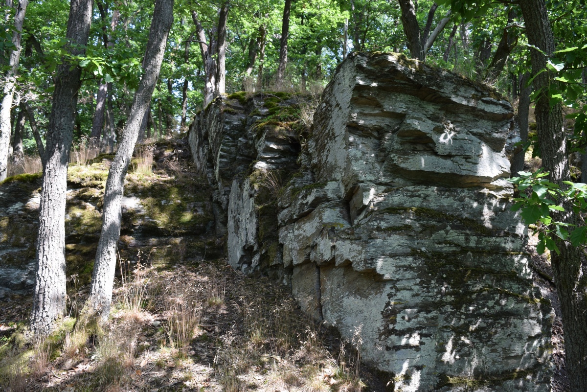 Holdersberg