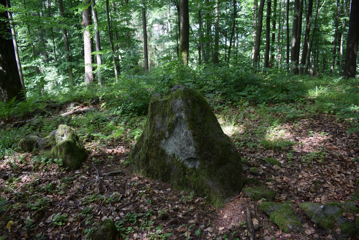Click for the gallery page to add comments and vote (PID:243701) Rossberg Menhir