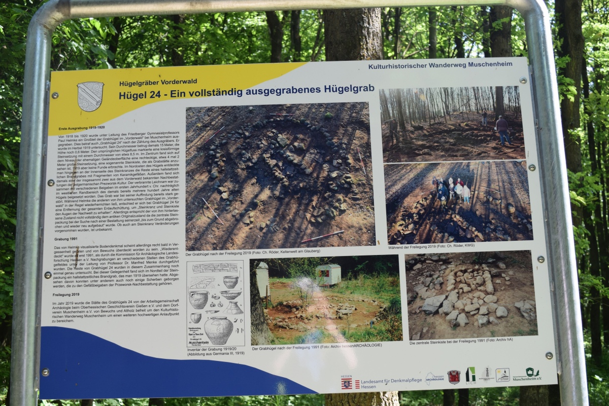 Click for full size image of Vorderwald Muschenheim (PID:227727) Vorderwald Muschenheim