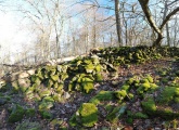 Ringwall Hinterberg - PID:214276