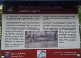 Click for full size image of Lautariusgrab (PID:161850) Lautariusgrab