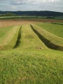 Glauberg Fürstengrabhügel