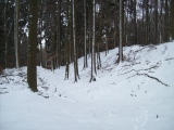 Heidetränk Oppidum - PID:118435