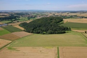 Metzenberg - PID:230963