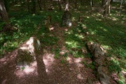 Click for full size image of Lautariusgrab (PID:78295) Lautariusgrab