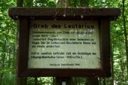 Click for full size image of Lautariusgrab (PID:78294) Lautariusgrab