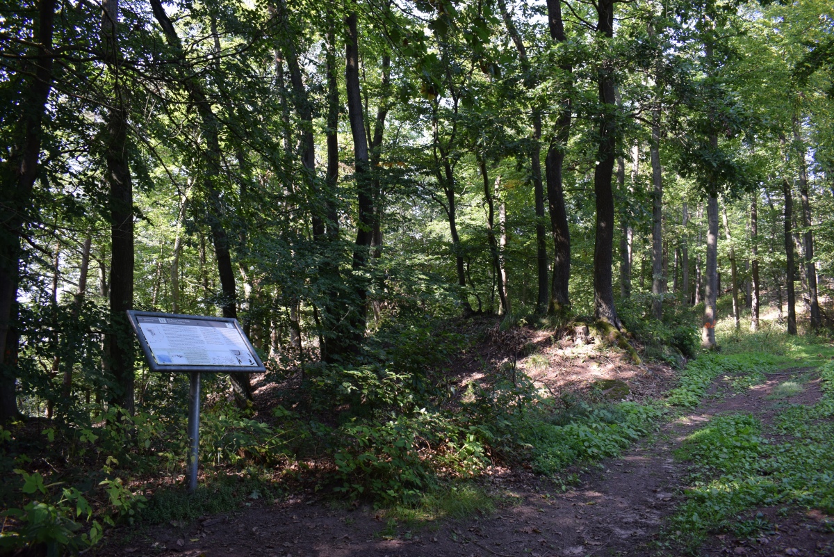 Click for full size image of Ringwall Altenburg Römersberg (PID:231537) Ringwall Altenburg Römersberg