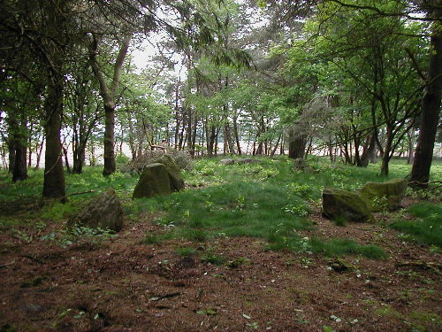 Gross Berssen Steingrab 9 'Brutsteene' (PID:22710) Gross Berssen Steingrab 9 'Brutsteene'