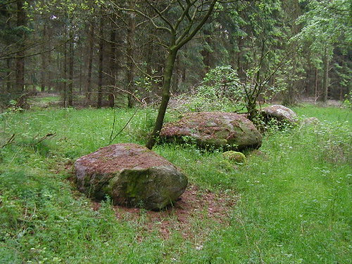 Click for the gallery page to add comments and vote (PID:22250) Plingenberger Steine Grosssteingrab