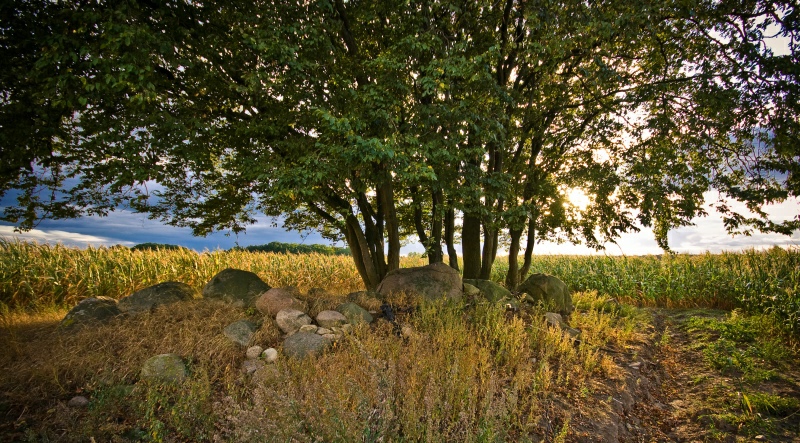 Dahlem Steingrab