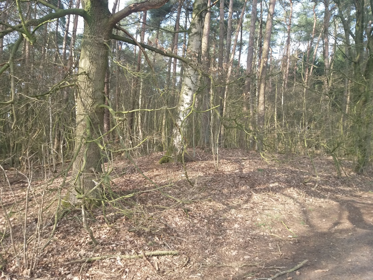 Click for the gallery page to add comments and vote (PID:224817) Issendorf Schwarzes Moor Huegelgraeber (2)