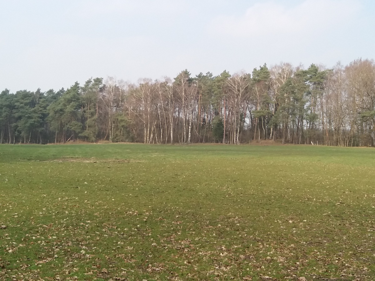 Click for the gallery page to add comments and vote (PID:224818) Issendorf Schwarzes Moor Huegelgraeber (3)