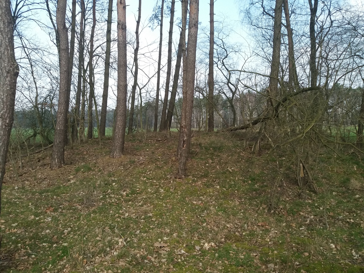 Click for the gallery page to add comments and vote (PID:224819) Issendorf Schwarzes Moor Huegelgraeber (1)