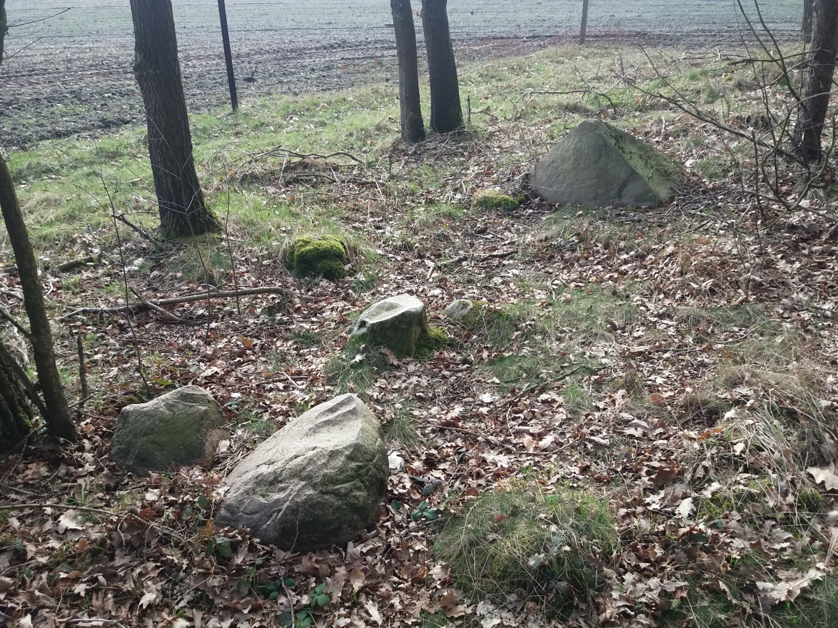 Click for the gallery page to add comments and vote (PID:224831) Daudieck Grabhuegelgruppe (Nr. 1-10)