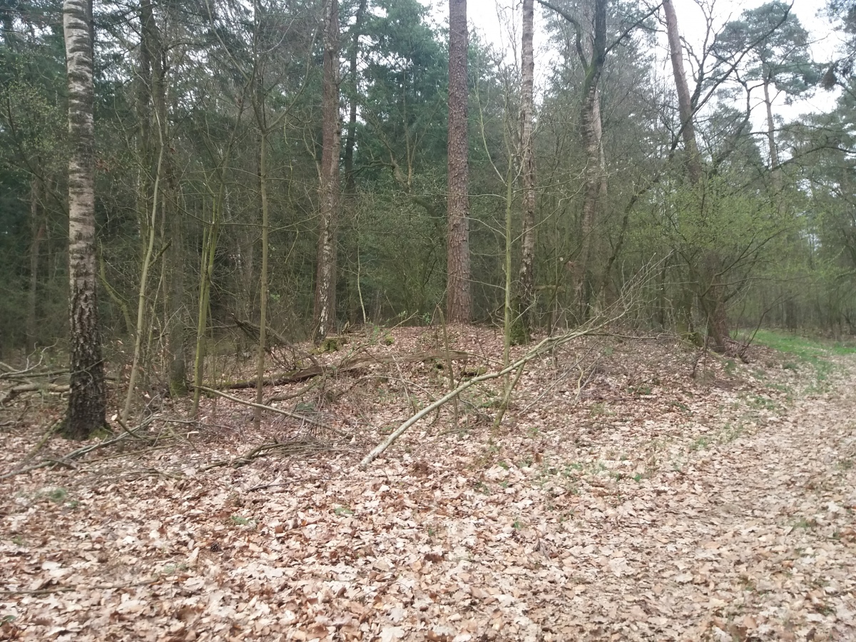 Hügelgräber bei Groß Meckelsen (PID:225448) Hügelgräber bei Groß Meckelsen