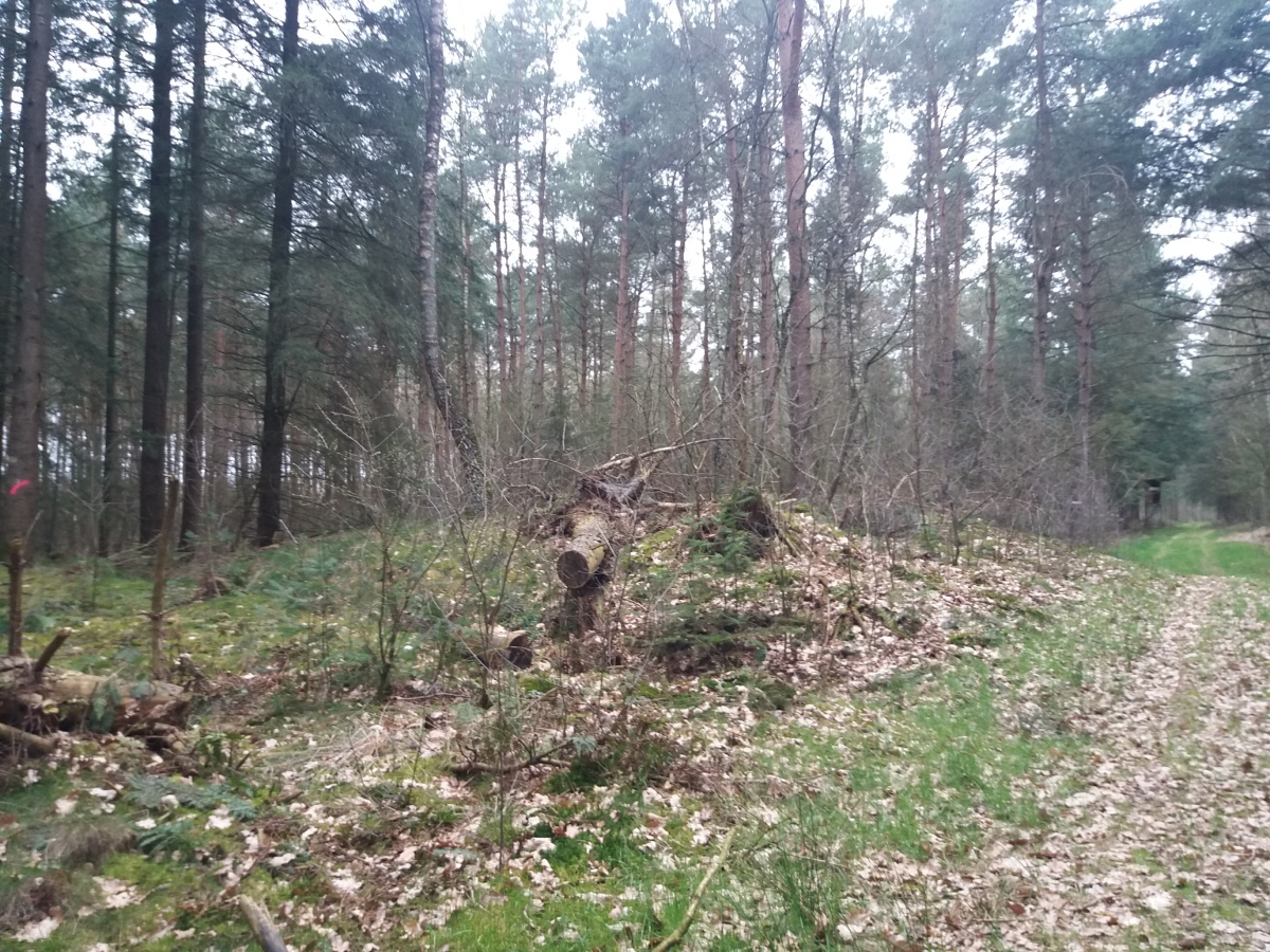 Click for full size image of Hügelgräber bei Groß Meckelsen (PID:225450) Hügelgräber bei Groß Meckelsen