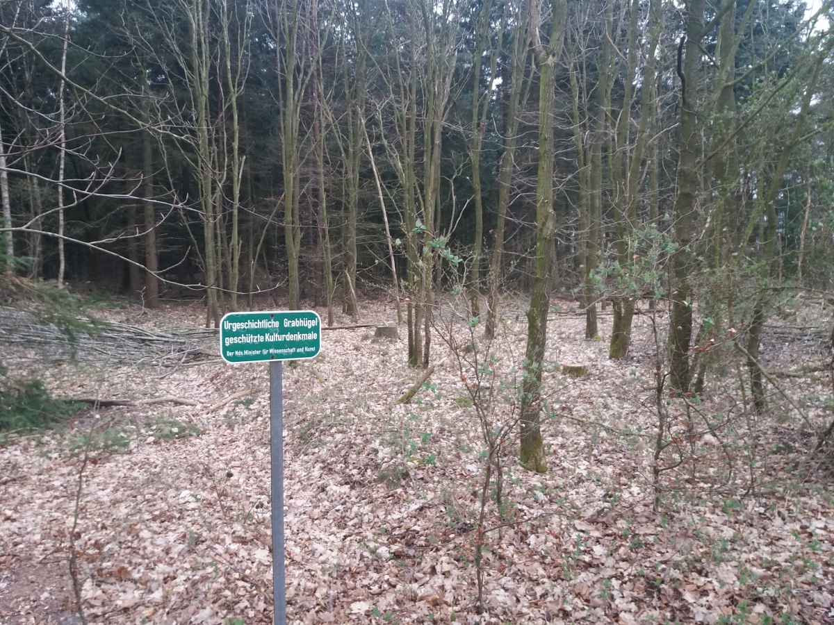 Click for full size image of Hügelgräber bei Groß Meckelsen (PID:225451) Hügelgräber bei Groß Meckelsen