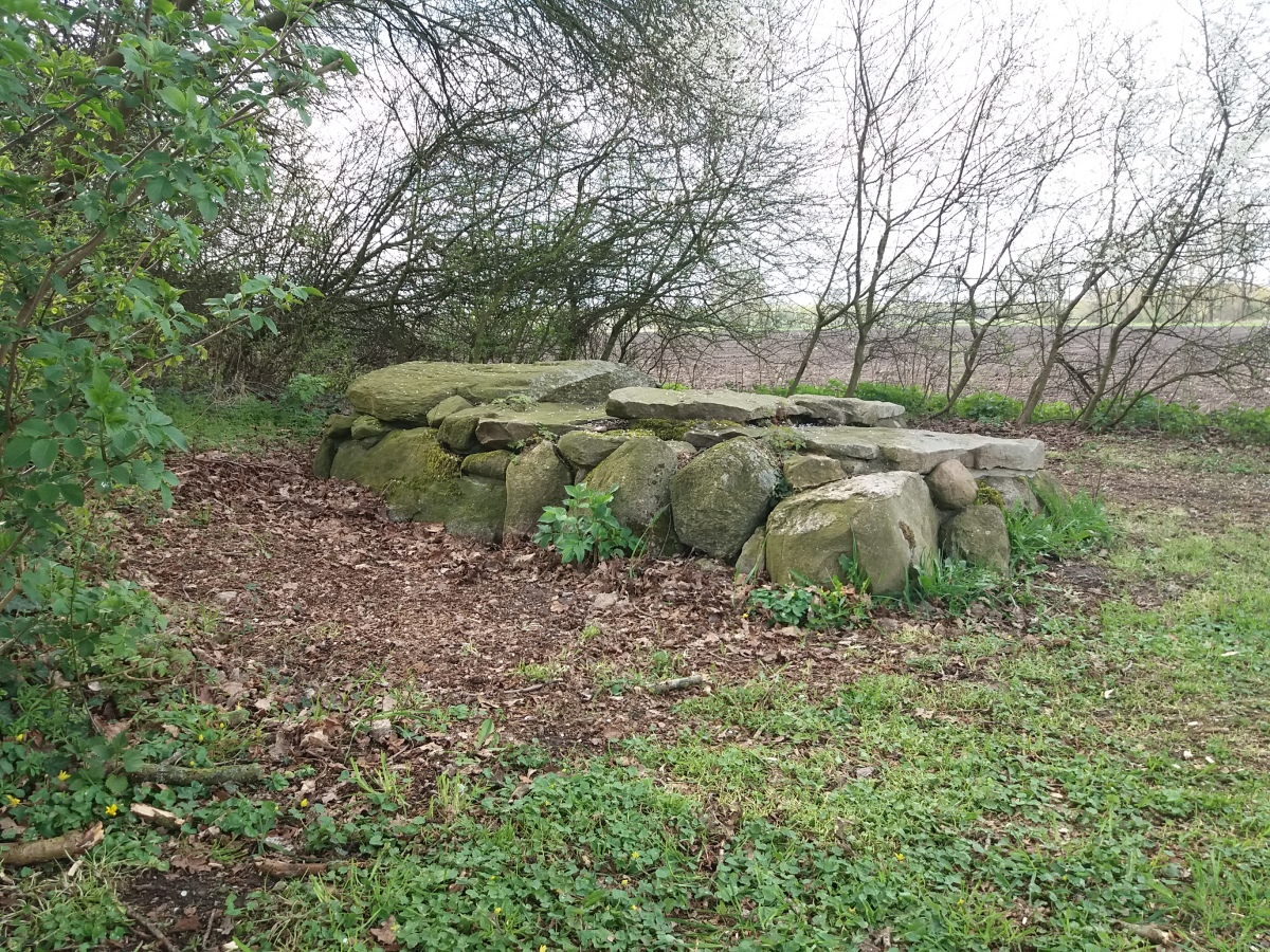 Heerstedt Langenbarg Steinkiste (PID:226279) Heerstedt Langenbarg Steinkiste