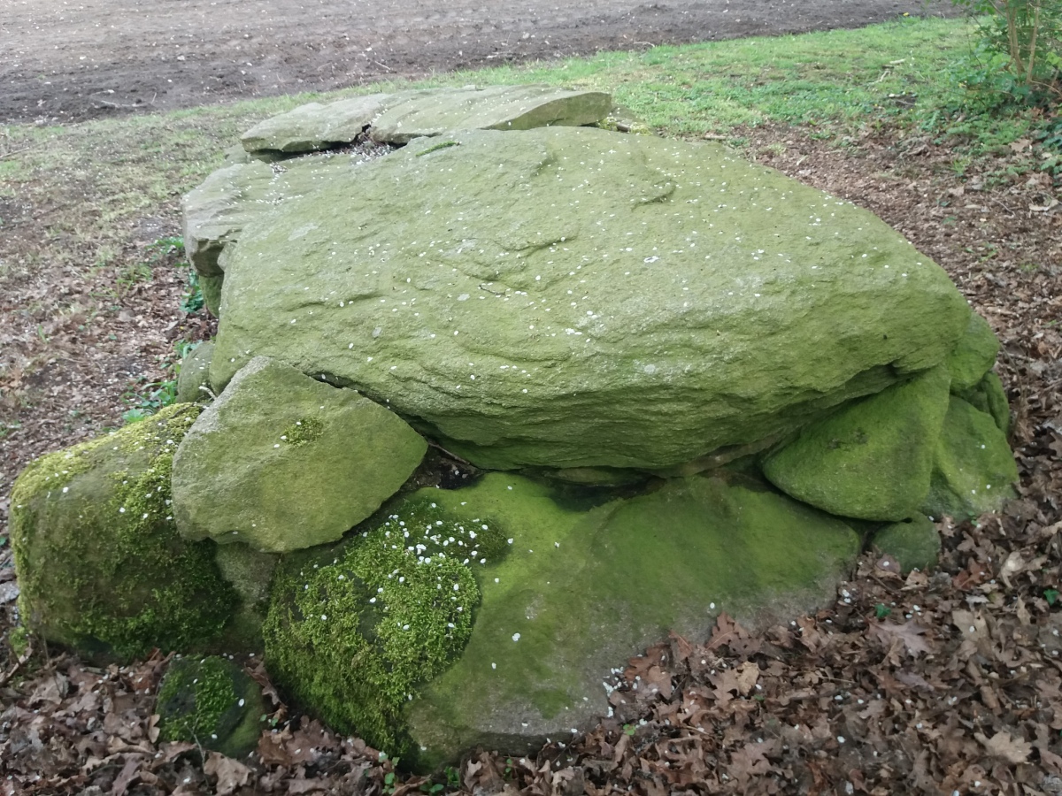 Click for full size image of Heerstedt Langenbarg Steinkiste (PID:226280) Heerstedt Langenbarg Steinkiste