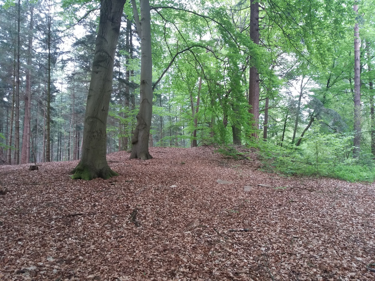 Bremervoerde Huegelgrab Plietenberg